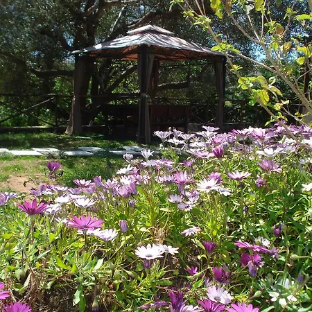 Il Nido Delle Gazze Holiday home *