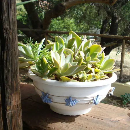 Il Nido Delle Gazze Holiday home *