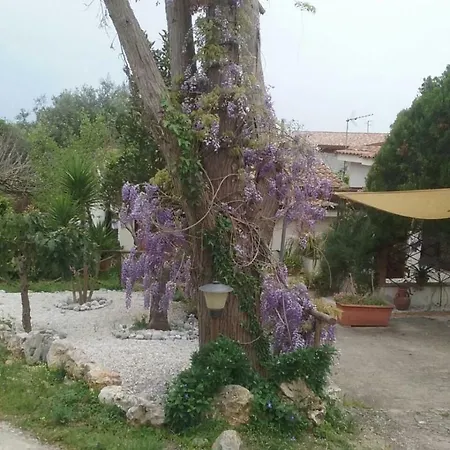 Il Nido Delle Gazze Holiday home